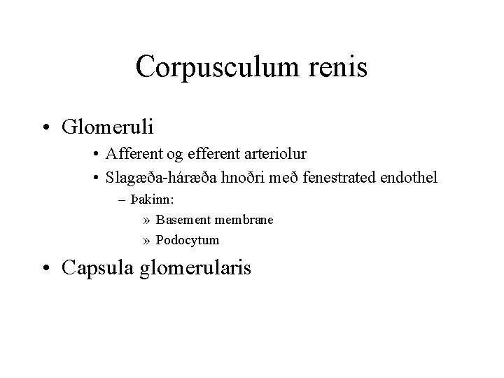 Corpusculum renis • Glomeruli • Afferent og efferent arteriolur • Slagæða-háræða hnoðri með fenestrated