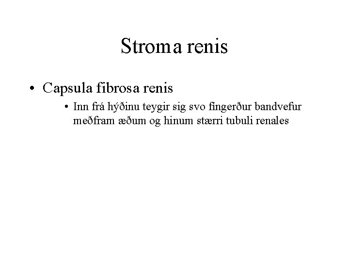 Stroma renis • Capsula fibrosa renis • Inn frá hýðinu teygir sig svo fíngerður