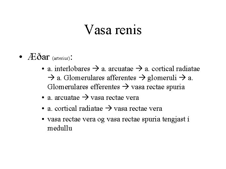 Vasa renis • Æðar (arteriur): • a. interlobares a. arcuatae a. cortical radiatae a.
