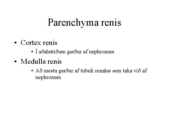 Parenchyma renis • Cortex renis • Í aðalatriðum gerður af nephronum • Medulla renis