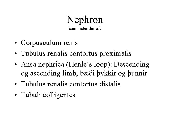 Nephron samanstendur af: • Corpusculum renis • Tubulus renalis contortus proximalis • Ansa nephrica