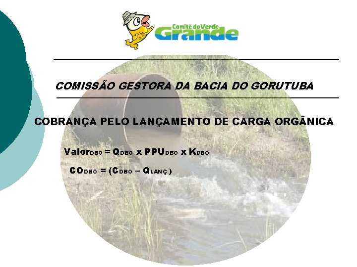 COMISSÃO GESTORA DA BACIA DO GORUTUBA COBRANÇA PELO LANÇAMENTO DE CARGA ORG NICA Valor.