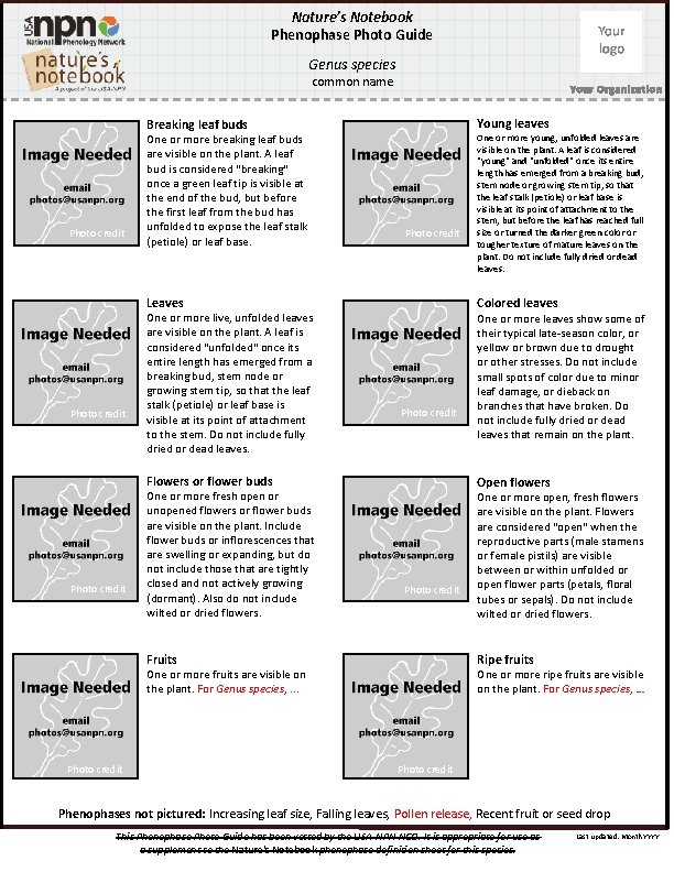 Nature’s Notebook Phenophase Photo Guide Genus species common name Your Organization Young leaves Breaking