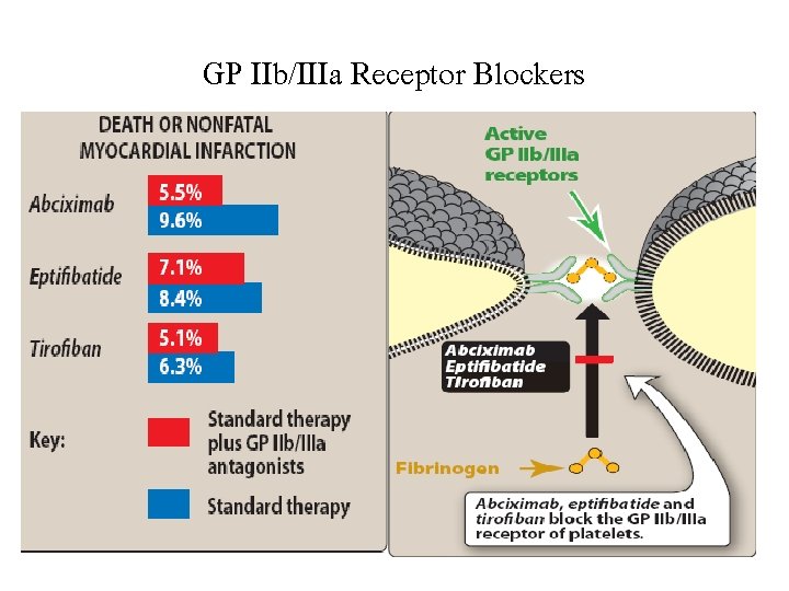 GP IIb/IIIa Receptor Blockers 