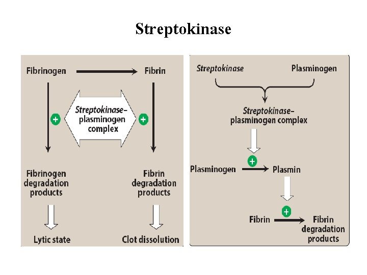 Streptokinase 