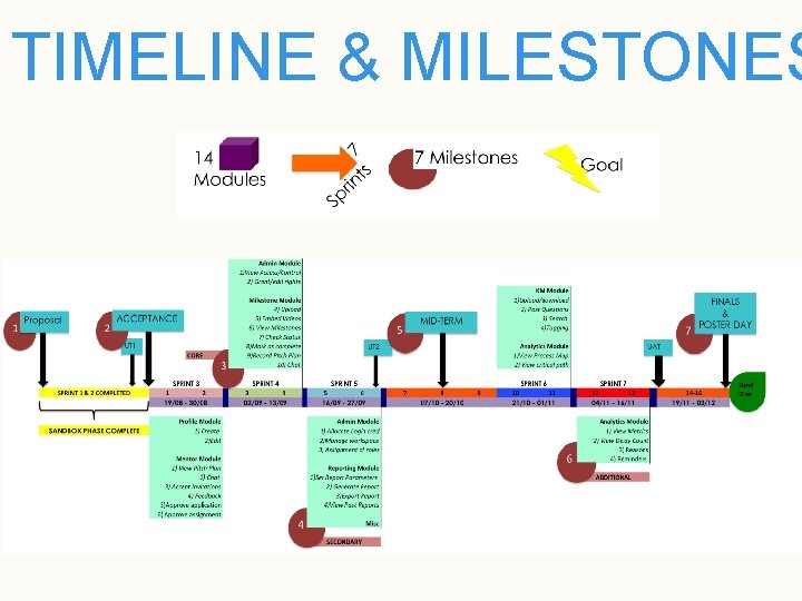 TIMELINE & MILESTONES 