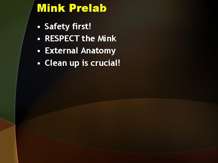 Mink Prelab • • Safety first! RESPECT the Mink External Anatomy Clean up is