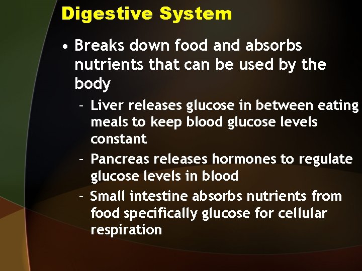 Digestive System • Breaks down food and absorbs nutrients that can be used by