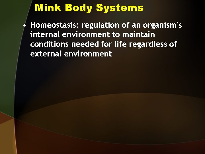 Mink Body Systems • Homeostasis: regulation of an organism's internal environment to maintain conditions