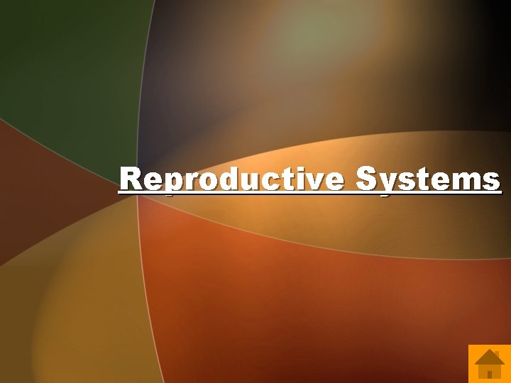 Reproductive Systems 