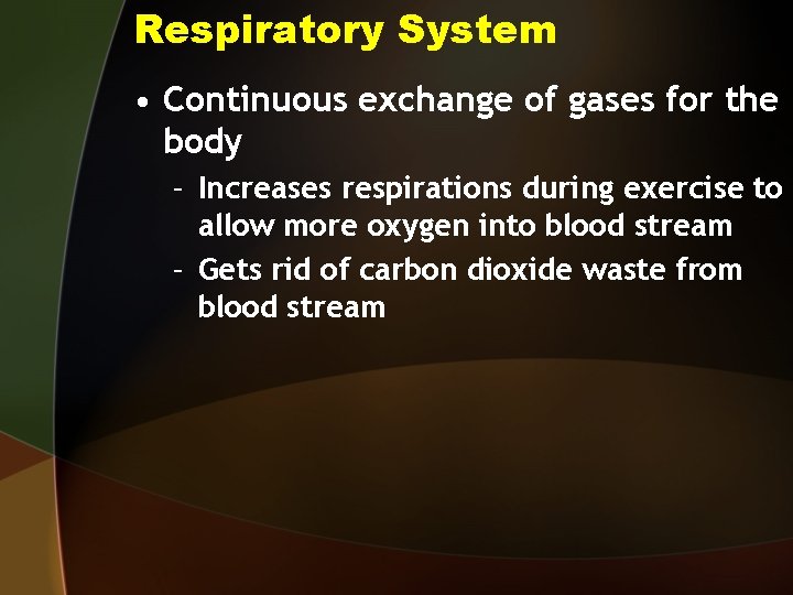 Respiratory System • Continuous exchange of gases for the body – Increases respirations during