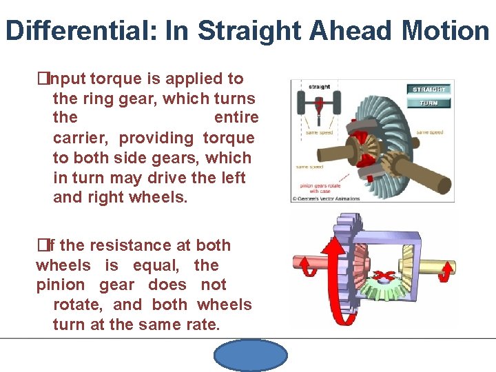 Differential: In Straight Ahead Motion �Input torque is applied to the ring gear, which