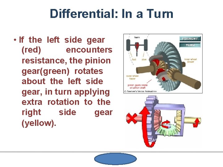 Differential: In a Turn • If the left side gear (red) encounters resistance, the