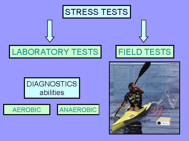 STRESS TESTS LABORATORY TESTS DIAGNOSTICS abilities AEROBIC ANAEROBIC FIELD TESTS 