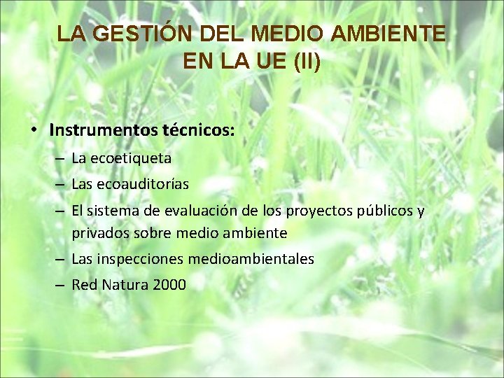 LA GESTIÓN DEL MEDIO AMBIENTE EN LA UE (II) • Instrumentos técnicos: – La