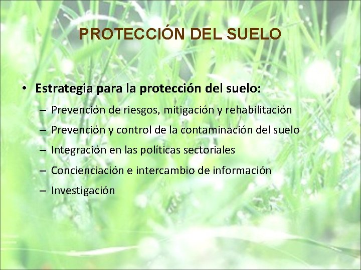 PROTECCIÓN DEL SUELO • Estrategia para la protección del suelo: – Prevención de riesgos,