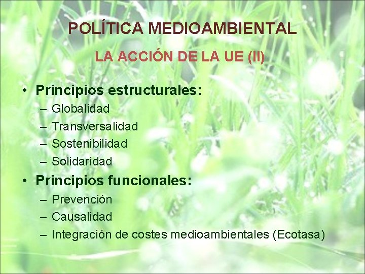 POLÍTICA MEDIOAMBIENTAL LA ACCIÓN DE LA UE (II) • Principios estructurales: – – Globalidad