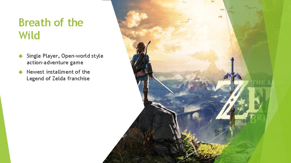 Breath of the Wild Single Player, Open-world style action-adventure game Newest installment of the