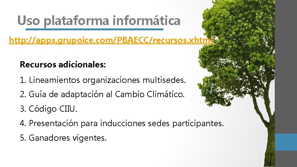 Uso plataforma informática http: //apps. grupoice. com/PBAECC/recursos. xhtml Recursos adicionales: 1. Lineamientos organizaciones multisedes.