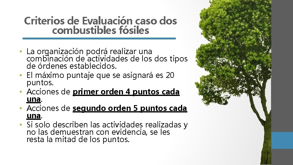 Criterios de Evaluación caso dos combustibles fósiles • La organización podrá realizar una combinación