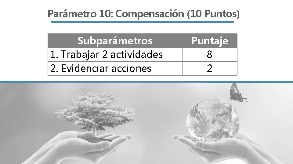 Parámetro 10: Compensación (10 Puntos) Subparámetros 1. Trabajar 2 actividades 2. Evidenciar acciones Puntaje