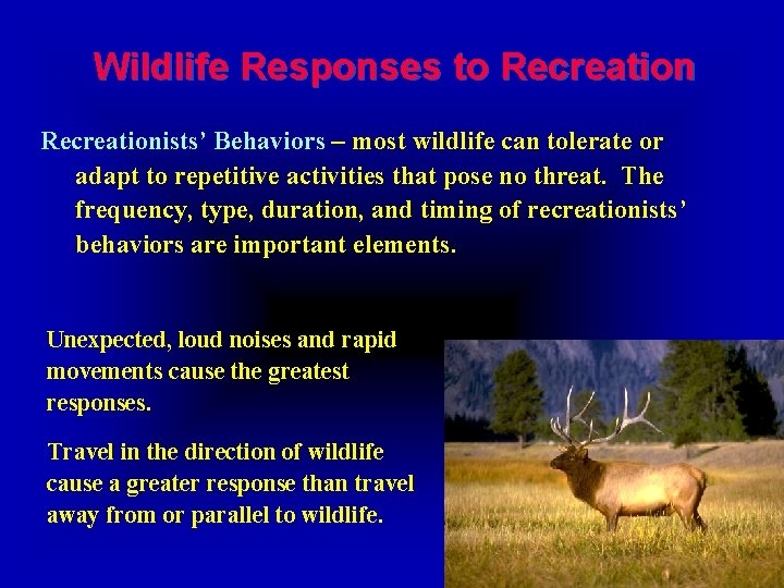 Wildlife Responses to Recreationists’ Behaviors – most wildlife can tolerate or adapt to repetitive