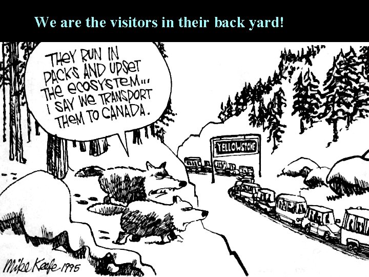 We are the visitors in their back yard! 