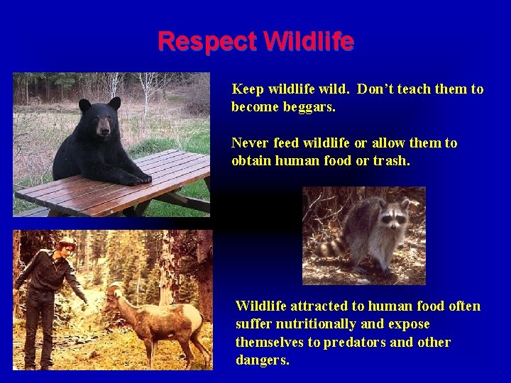 Respect Wildlife Keep wildlife wild. Don’t teach them to become beggars. Never feed wildlife