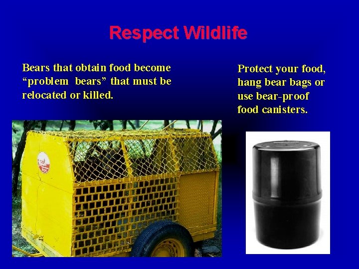 Respect Wildlife Bears that obtain food become “problem bears” that must be relocated or