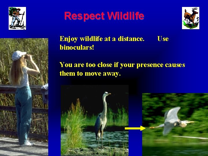 Respect Wildlife Enjoy wildlife at a distance. binoculars! Use You are too close if