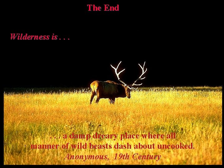 The End Wilderness is. . . a damp dreary place where all manner of