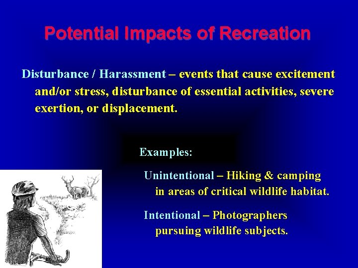 Potential Impacts of Recreation Disturbance / Harassment – events that cause excitement and/or stress,