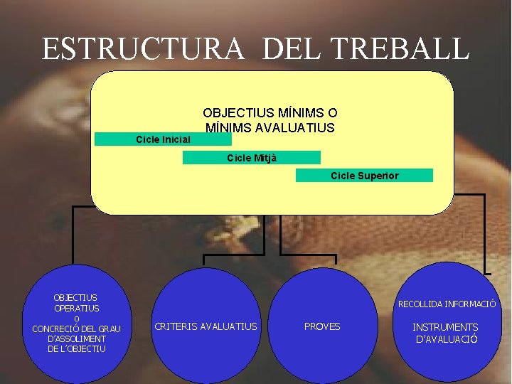 ESTRUCTURA DEL TREBALL Cicle Inicial OBJECTIUS MÍNIMS O MÍNIMS AVALUATIUS Cicle Mitjà Cicle Superior