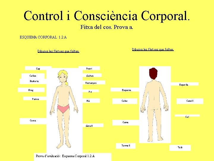 Control i Consciència Corporal. Fitxa del cos. Prova a. ESQUEMA CORPORAL 1. 2. A