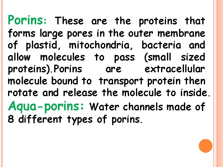 Porins: These are the proteins that forms large pores in the outer membrane of