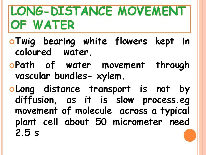 LONG-DISTANCE MOVEMENT OF WATER Twig bearing white flowers kept in coloured water. Path of