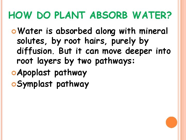 HOW DO PLANT ABSORB WATER? Water is absorbed along with mineral solutes, by root