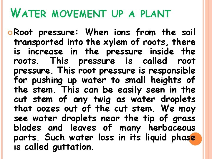 WATER Root MOVEMENT UP A PLANT pressure: When ions from the soil transported into