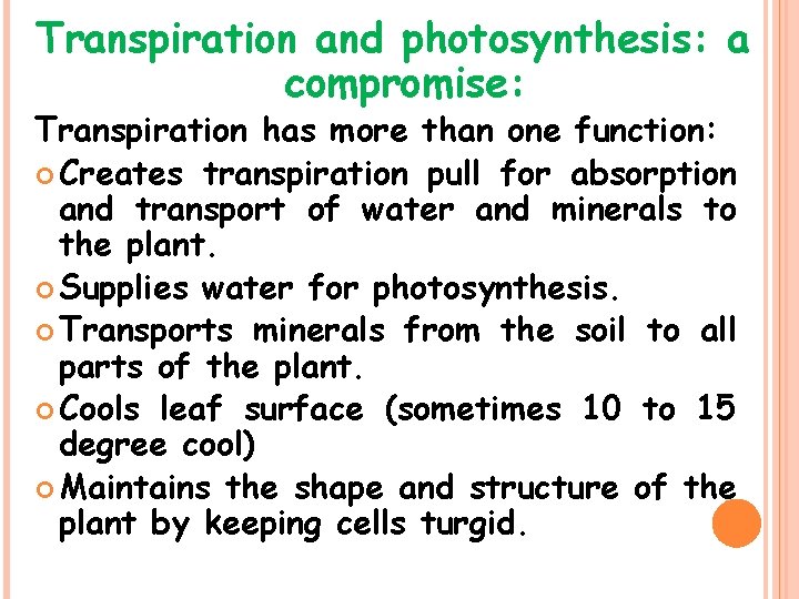 Transpiration and photosynthesis: a compromise: Transpiration has more than one function: Creates transpiration pull