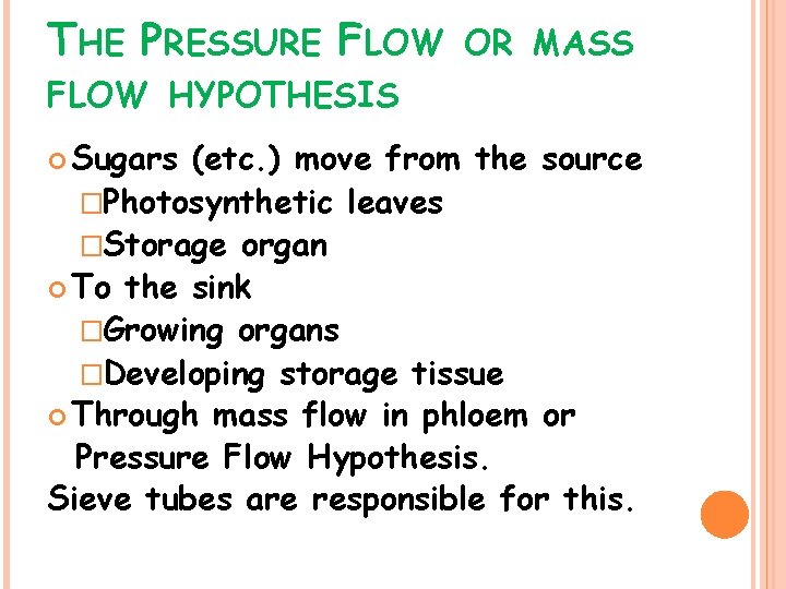THE PRESSURE FLOW OR MASS FLOW HYPOTHESIS Sugars (etc. ) move from the source
