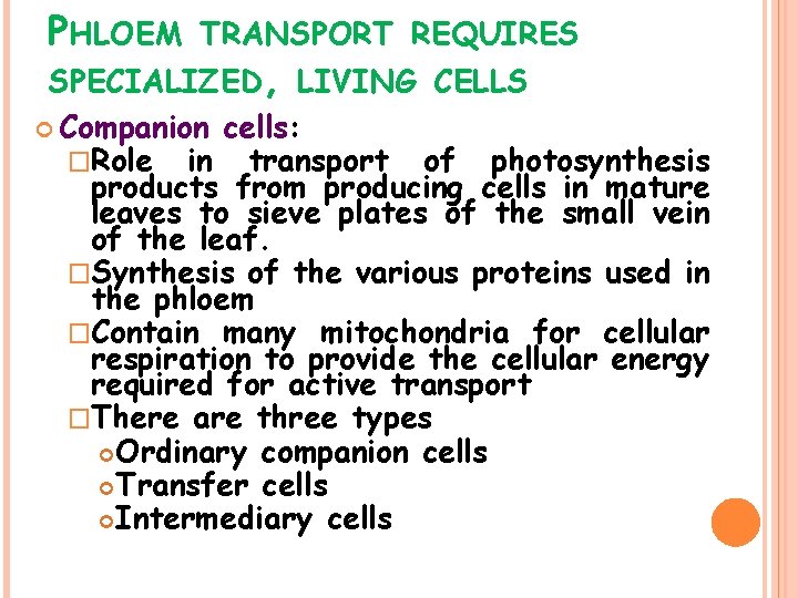 PHLOEM TRANSPORT REQUIRES SPECIALIZED, LIVING CELLS Companion cells: �Role in transport of photosynthesis products
