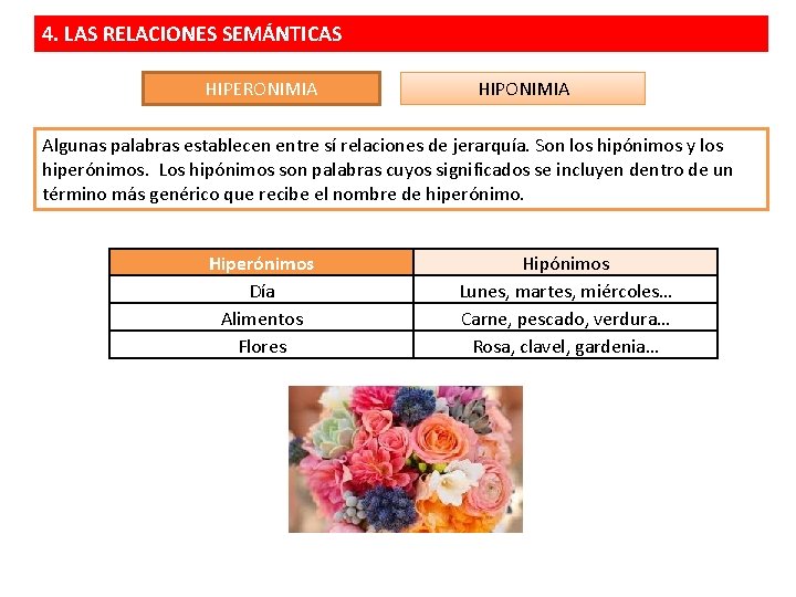 4. LAS RELACIONES SEMÁNTICAS HIPERONIMIA HIPONIMIA Algunas palabras establecen entre sí relaciones de jerarquía.