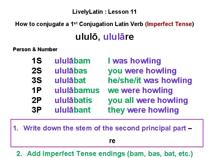 Lively. Latin : Lesson 11 How to conjugate a 1 st Conjugation Latin Verb Lively. Latin : Lesson 11 How to conjugate a 1 st Conjugation Latin Verb