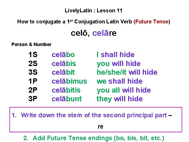 Lively. Latin : Lesson 11 How to conjugate a 1 st Conjugation Latin Verb Lively. Latin : Lesson 11 How to conjugate a 1 st Conjugation Latin Verb