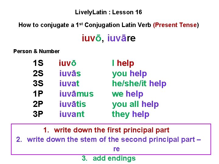 Lively. Latin : Lesson 16 How to conjugate a 1 st Conjugation Latin Verb Lively. Latin : Lesson 16 How to conjugate a 1 st Conjugation Latin Verb