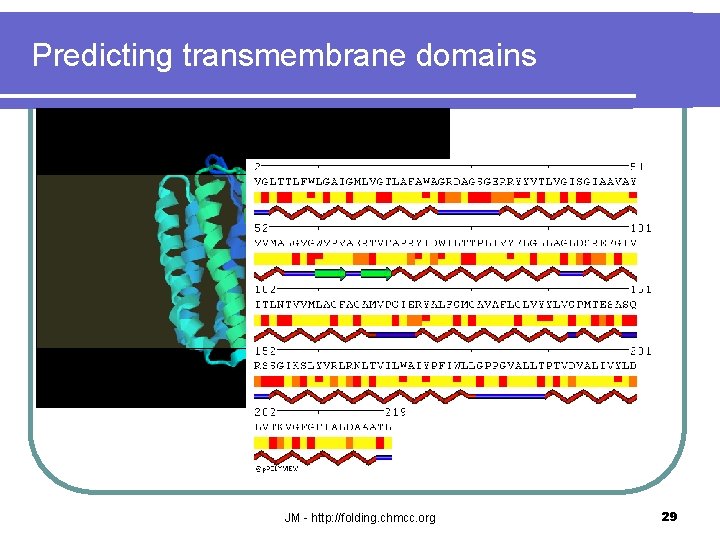 Predicting transmembrane domains JM - http: //folding. chmcc. org 29 