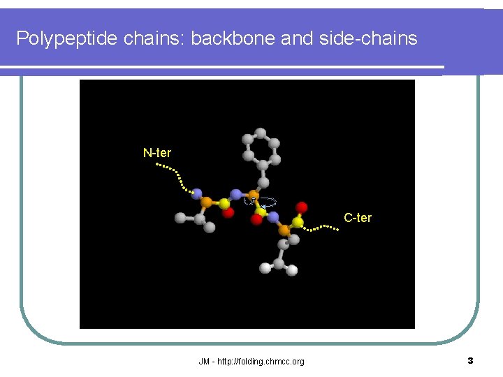 Polypeptide chains: backbone and side-chains N-ter C-ter JM - http: //folding. chmcc. org 3