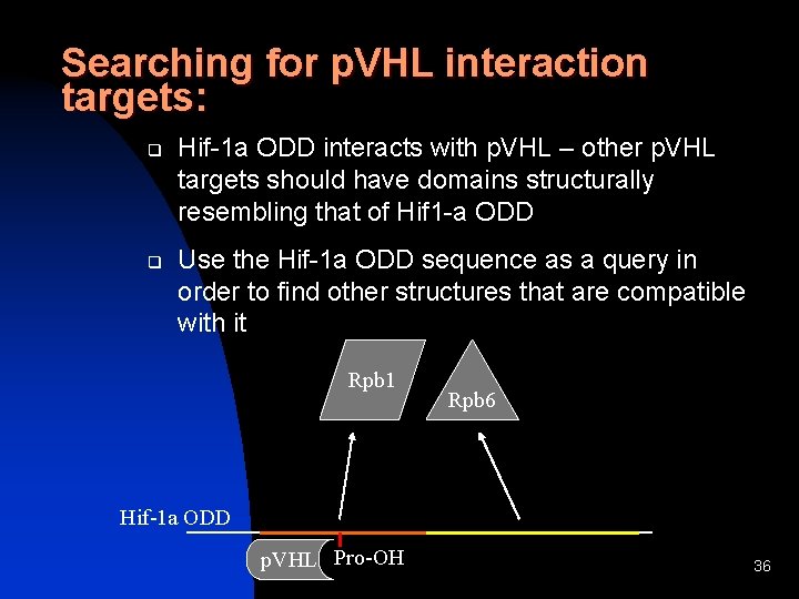 Searching for p. VHL interaction targets: q q Hif-1 a ODD interacts with p.