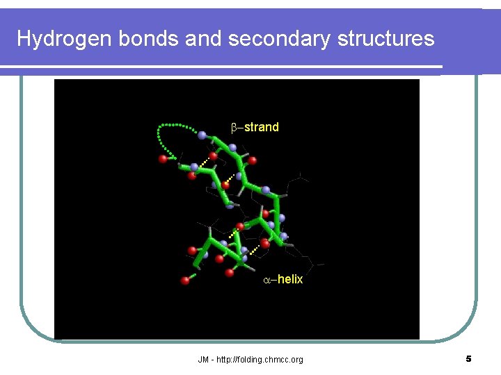 Hydrogen bonds and secondary structures b-strand a-helix JM - http: //folding. chmcc. org 5