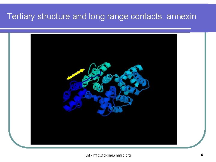Tertiary structure and long range contacts: annexin JM - http: //folding. chmcc. org 6